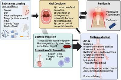 Impact of oral microbiota on pathophysiology of GVHD